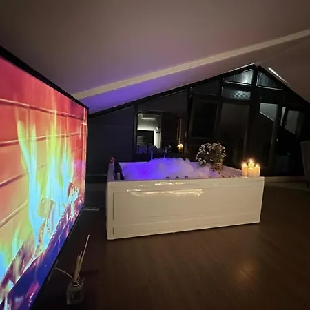 ホテル Marina Boutique Istanbul Airport *